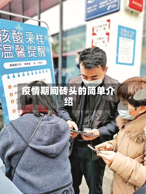 疫情期间砖头的简单介绍-第2张图片