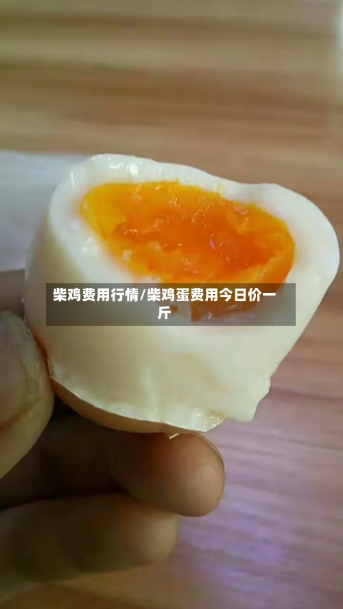 柴鸡费用行情/柴鸡蛋费用今日价一斤-第3张图片