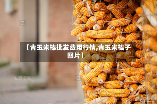 【青玉米棒批发费用行情,青玉米棒子图片】-第2张图片